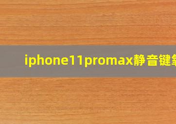 iphone11promax静音键氧化