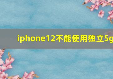 iphone12不能使用独立5g