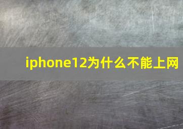 iphone12为什么不能上网