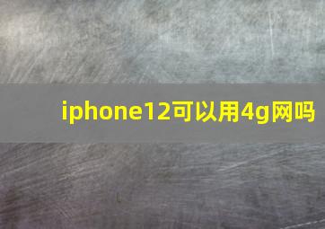 iphone12可以用4g网吗