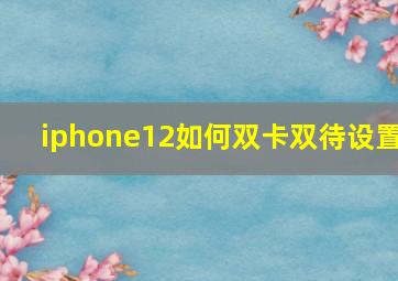 iphone12如何双卡双待设置