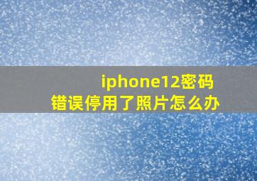 iphone12密码错误停用了照片怎么办