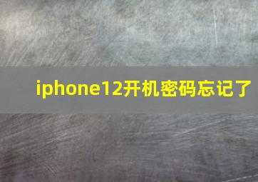 iphone12开机密码忘记了