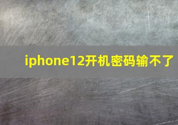 iphone12开机密码输不了