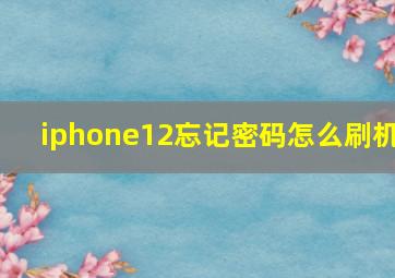 iphone12忘记密码怎么刷机