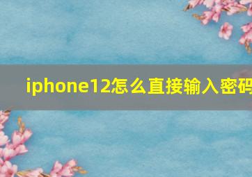 iphone12怎么直接输入密码