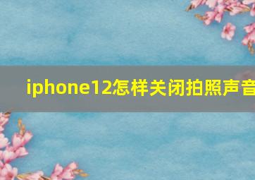 iphone12怎样关闭拍照声音