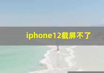 iphone12截屏不了