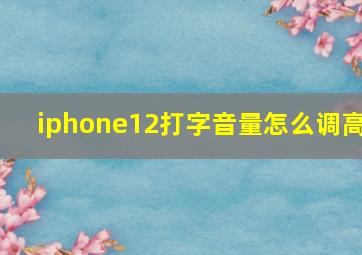 iphone12打字音量怎么调高