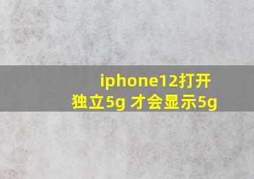 iphone12打开独立5g 才会显示5g