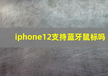 iphone12支持蓝牙鼠标吗