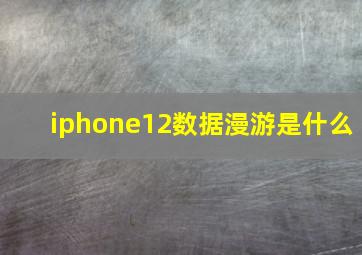 iphone12数据漫游是什么