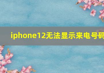 iphone12无法显示来电号码