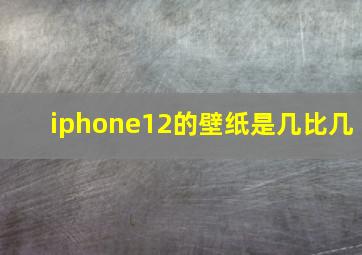 iphone12的壁纸是几比几