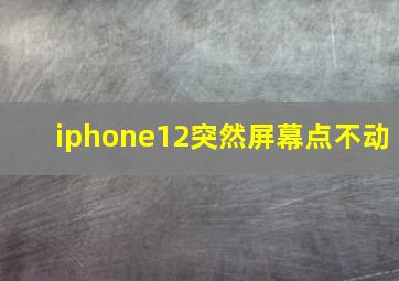 iphone12突然屏幕点不动