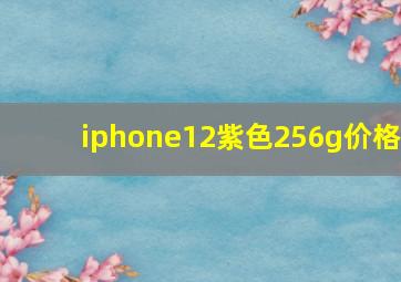 iphone12紫色256g价格