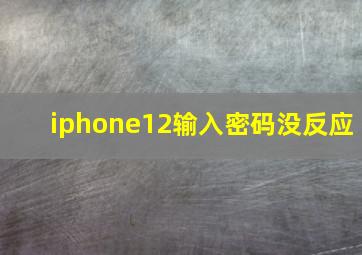 iphone12输入密码没反应