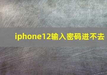 iphone12输入密码进不去