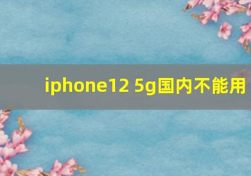 iphone12 5g国内不能用