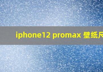 iphone12 promax 壁纸尺寸