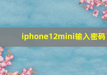 iphone12mini输入密码