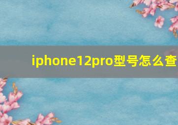 iphone12pro型号怎么查