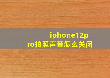 iphone12pro拍照声音怎么关闭