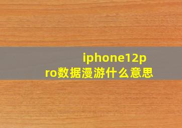 iphone12pro数据漫游什么意思