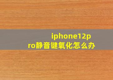 iphone12pro静音键氧化怎么办