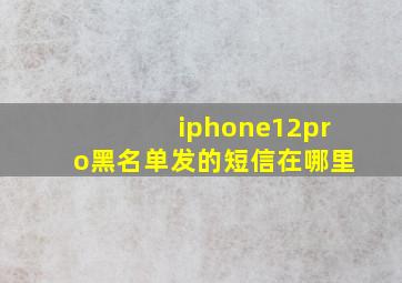 iphone12pro黑名单发的短信在哪里