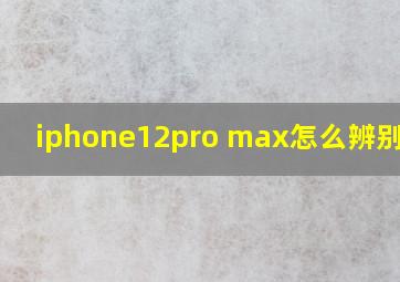 iphone12pro max怎么辨别国行