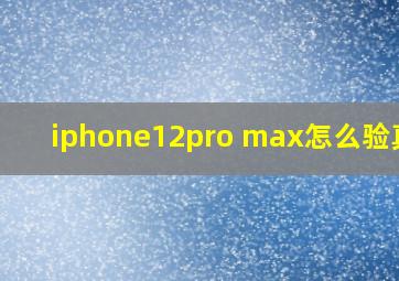 iphone12pro max怎么验真假