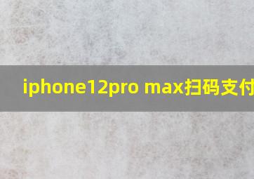 iphone12pro max扫码支付不了