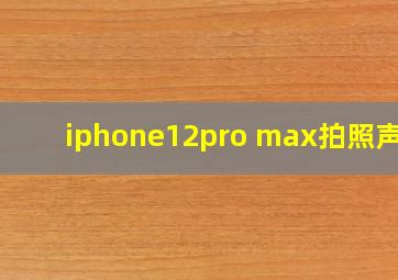 iphone12pro max拍照声音