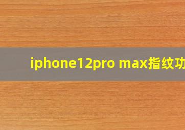 iphone12pro max指纹功能