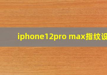 iphone12pro max指纹设置