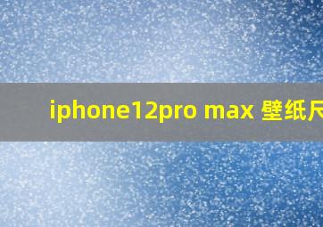 iphone12pro max 壁纸尺寸