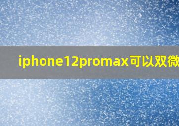 iphone12promax可以双微信吗