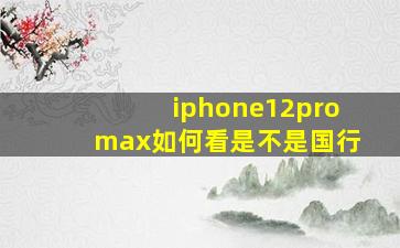 iphone12promax如何看是不是国行