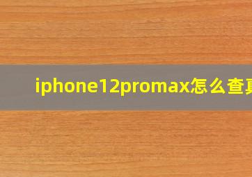 iphone12promax怎么查真伪