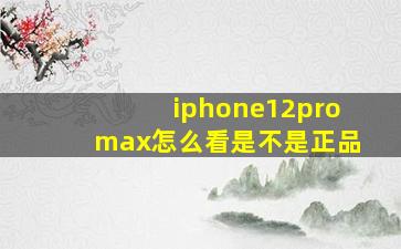 iphone12promax怎么看是不是正品