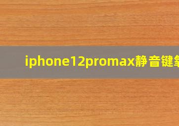 iphone12promax静音键氧化