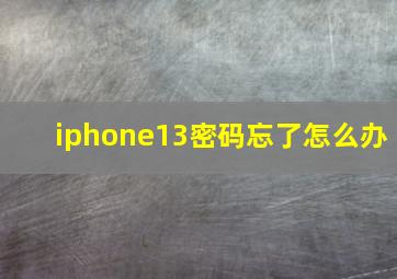 iphone13密码忘了怎么办