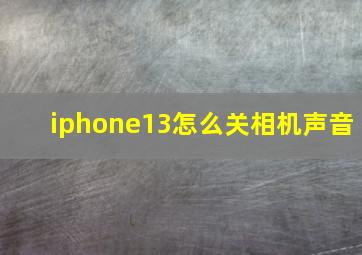 iphone13怎么关相机声音