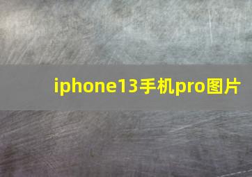 iphone13手机pro图片