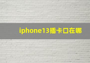 iphone13插卡口在哪