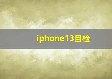 iphone13自检