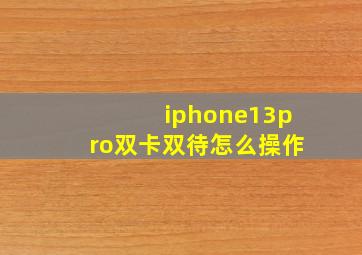 iphone13pro双卡双待怎么操作