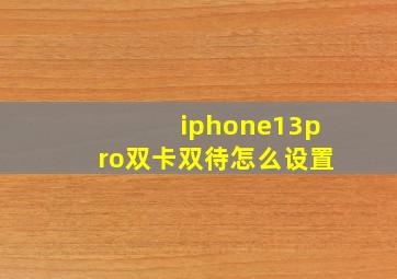 iphone13pro双卡双待怎么设置