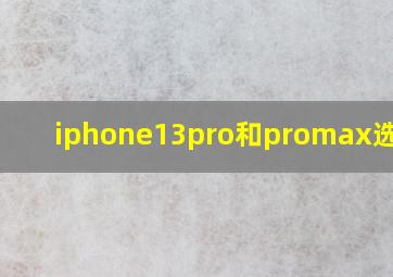 iphone13pro和promax选哪个